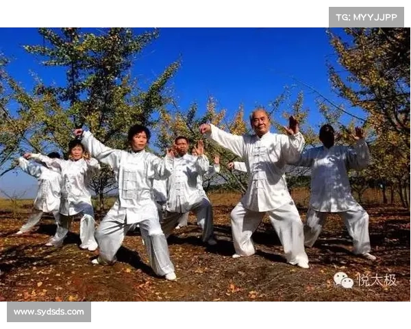 以内蒙古体育局着力打造基础设施机制建设团队强化和内功提升四步走战略规划